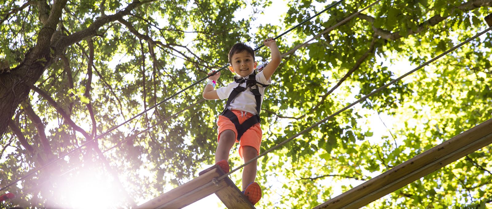 Go Ape - Alice Holt Forest, Hampshire